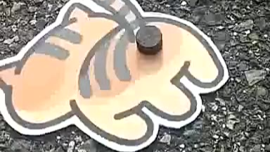 这个烟花发明的意义是什么